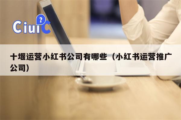 十堰运营小红书公司有哪些（小红书运营推广公司）