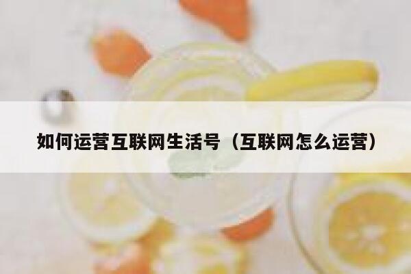 如何运营互联网生活号（互联网怎么运营）