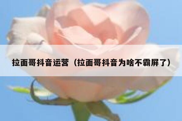 拉面哥抖音运营（拉面哥抖音为啥不霸屏了）