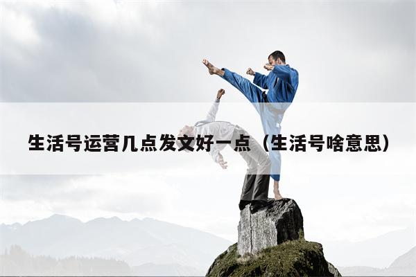 生活号运营几点发文好一点（生活号啥意思）