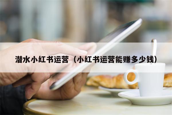 潜水小红书运营（小红书运营能赚多少钱）