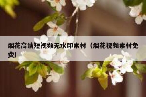 烟花高清短视频无水印素材（烟花视频素材免费）