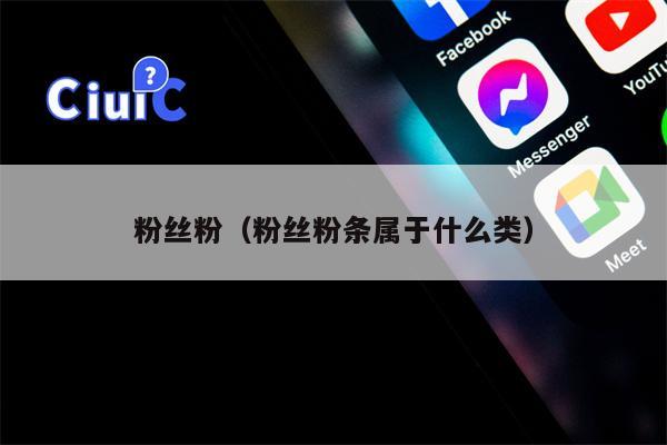 粉丝粉（粉丝粉条属于什么类）