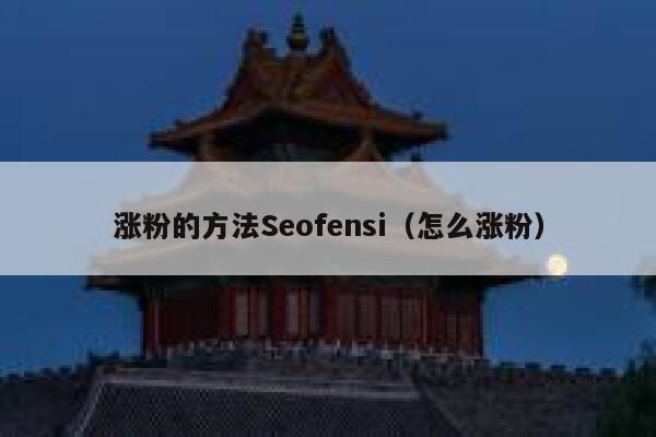 涨粉的方法Seofensi（怎么涨粉）
