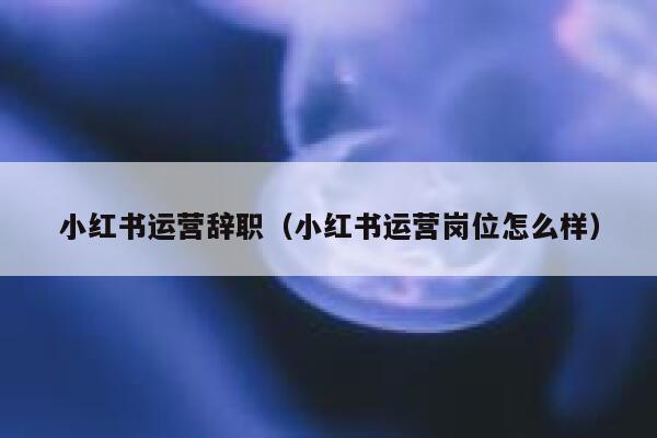 小红书运营辞职（小红书运营岗位怎么样）