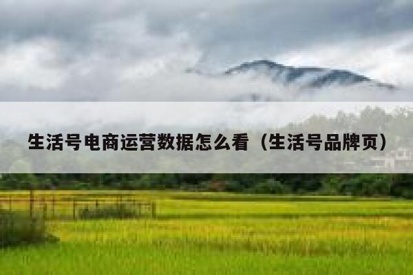 生活号电商运营数据怎么看（生活号品牌页）