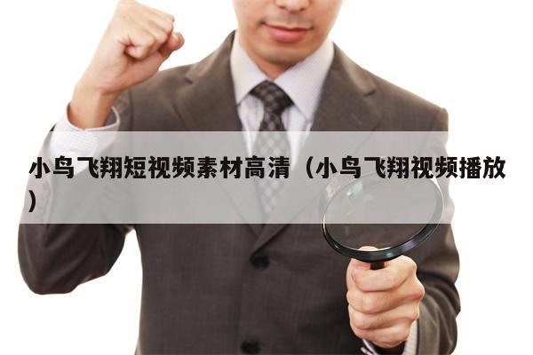 小鸟飞翔短视频素材高清（小鸟飞翔视频播放）