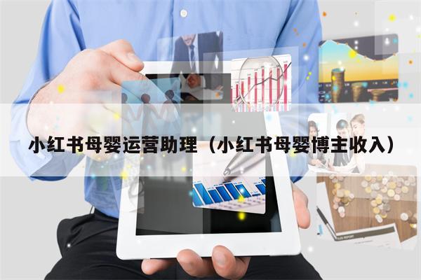 小红书母婴运营助理（小红书母婴博主收入）