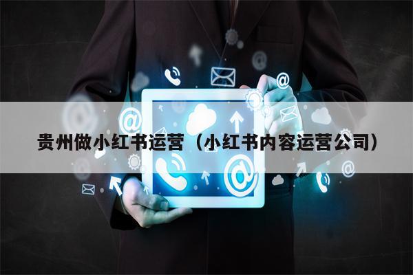 贵州做小红书运营（小红书内容运营公司）