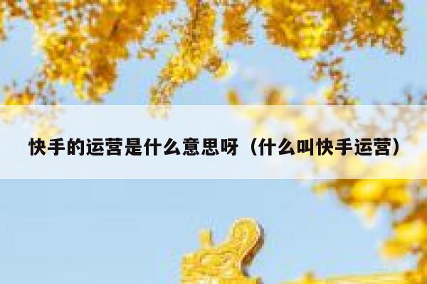 快手的运营是什么意思呀（什么叫快手运营）