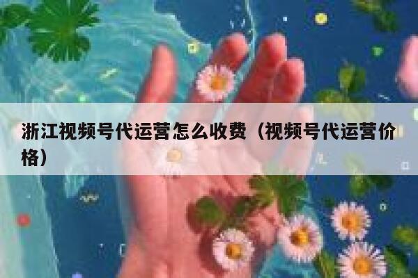 浙江视频号代运营怎么收费（视频号代运营价格）