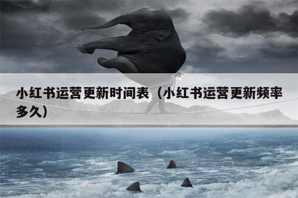 小红书运营更新时间表（小红书运营更新频率多久）