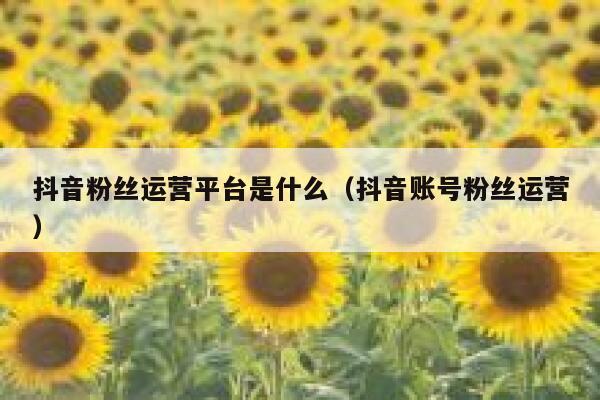 抖音粉丝运营平台是什么（抖音账号粉丝运营）
