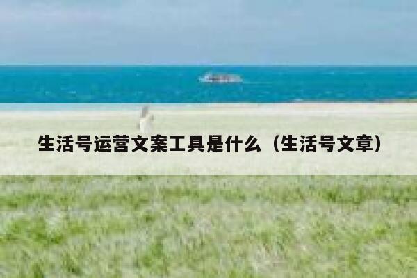 生活号运营文案工具是什么（生活号文章）