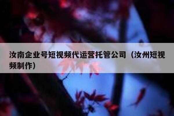 汝南企业号短视频代运营托管公司（汝州短视频制作）