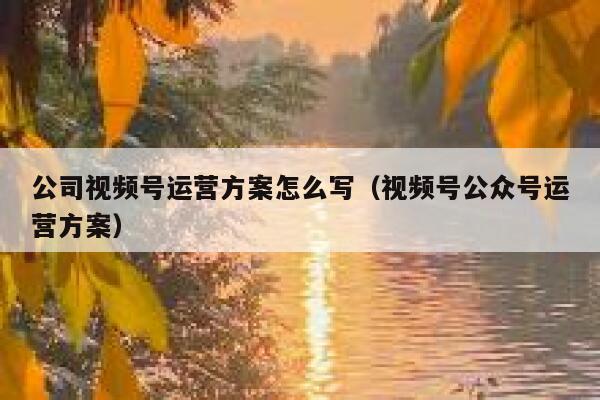 公司视频号运营方案怎么写（视频号公众号运营方案）