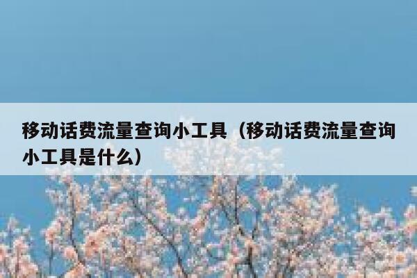 移动话费流量查询小工具（移动话费流量查询小工具是什么）