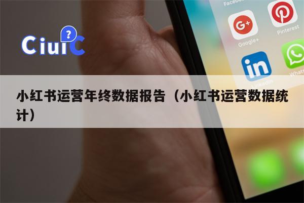 小红书运营年终数据报告(小红书运营数据统计)