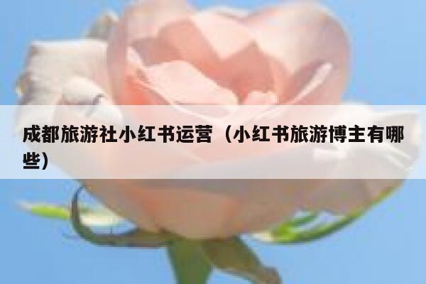 成都旅游社小红书运营（小红书旅游博主有哪些）