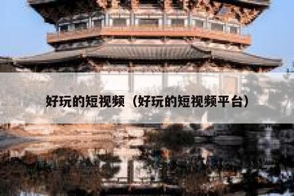 好玩的短视频（好玩的短视频平台）