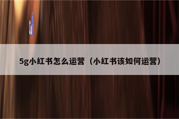 5g小红书怎么运营（小红书该如何运营）