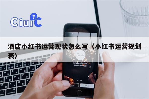酒店小红书运营现状怎么写（小红书运营规划表）