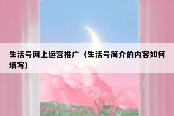 生活号网上运营推广（生活号简介的内容如何填写）