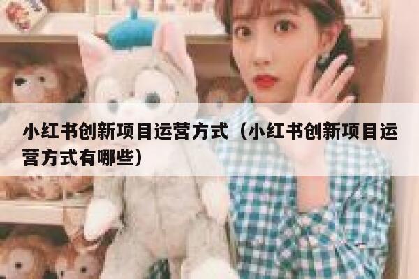 小红书创新项目运营方式（小红书创新项目运营方式有哪些）