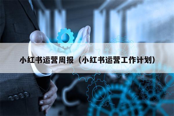 小红书运营周报（小红书运营工作计划）