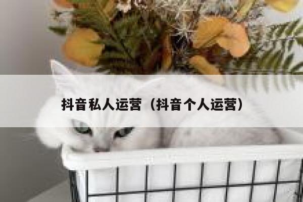 抖音私人运营（抖音个人运营）