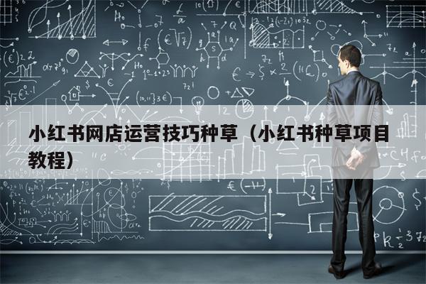 小红书网店运营技巧种草（小红书种草项目 教程）