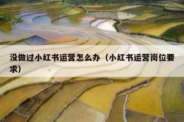 没做过小红书运营怎么办(小红书运营岗位要求)