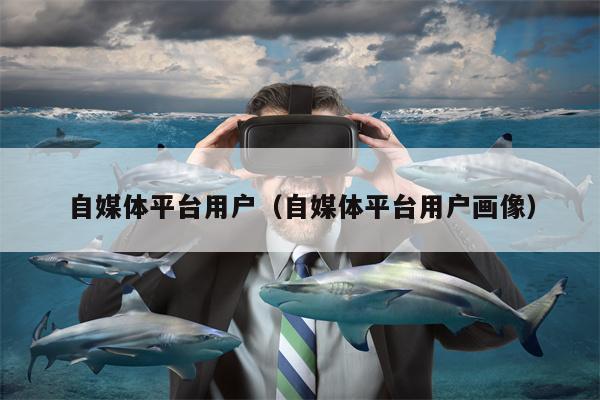 自媒体平台用户(自媒体平台用户画像)