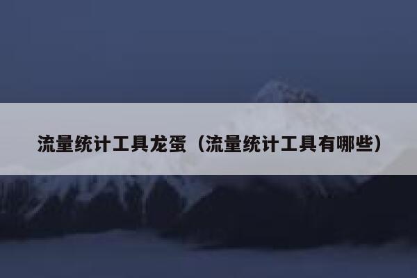 流量统计工具龙蛋（流量统计工具有哪些）