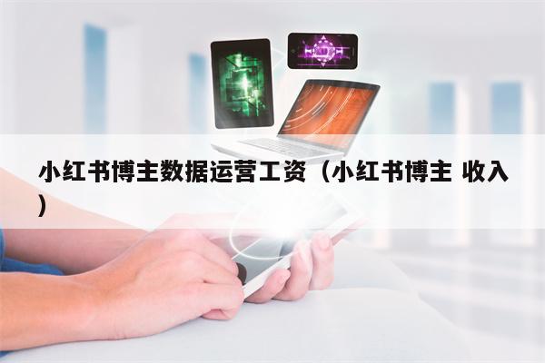 小红书博主数据运营工资（小红书博主 收入）