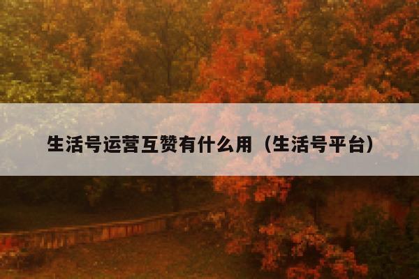 生活号运营互赞有什么用（生活号平台）