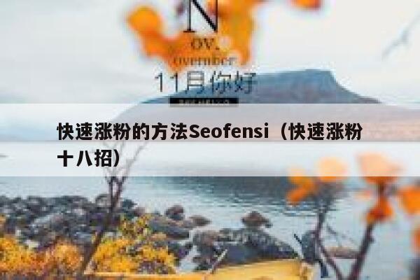 快速涨粉的方法Seofensi（快速涨粉十八招）