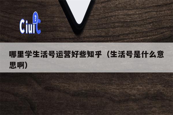 哪里学生活号运营好些知乎（生活号是什么意思啊）