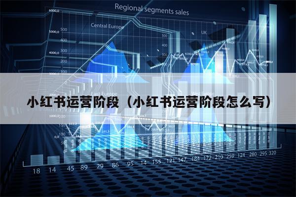 小红书运营阶段（小红书运营阶段怎么写）