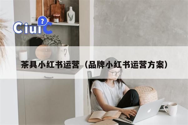 茶具小红书运营（品牌小红书运营方案）