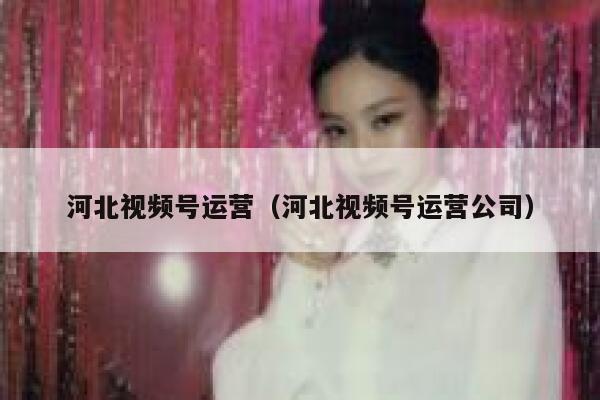 河北视频号运营（河北视频号运营公司）