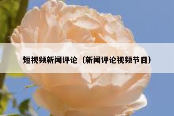短视频新闻评论（新闻评论视频节目）