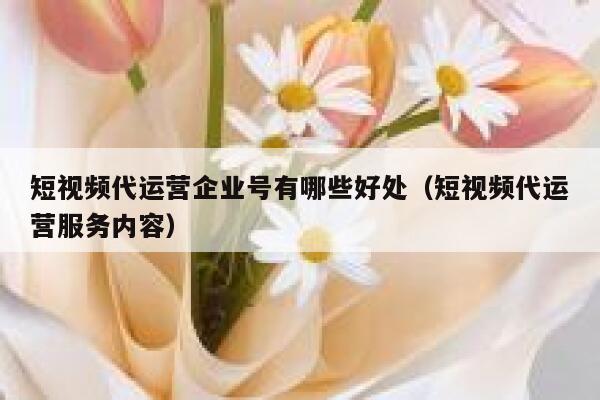 短视频代运营企业号有哪些好处（短视频代运营服务内容）