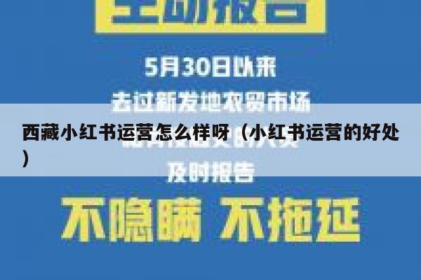 西藏小红书运营怎么样呀（小红书运营的好处）