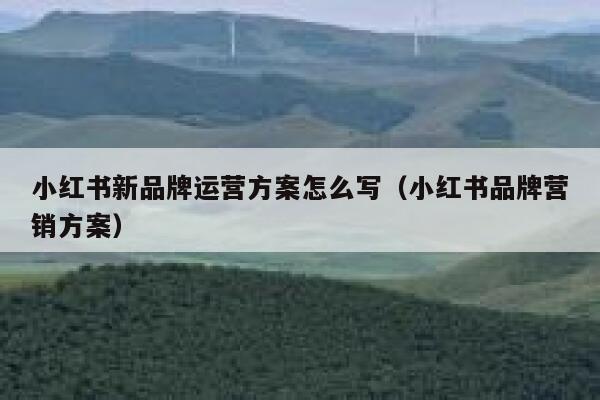小红书新品牌运营方案怎么写（小红书品牌营销方案）