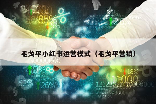 毛戈平小红书运营模式(毛戈平营销)