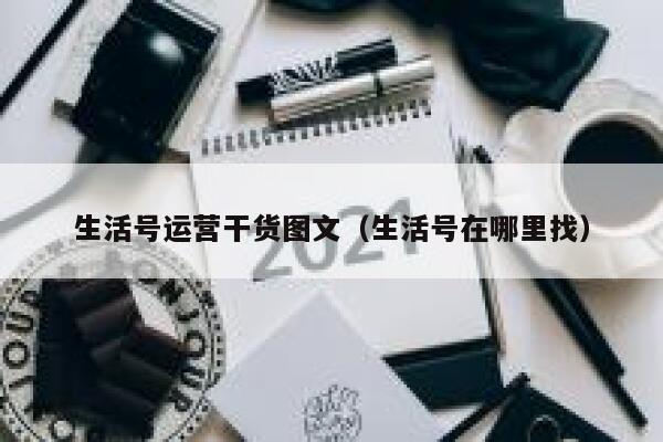 生活号运营干货图文（生活号在哪里找）