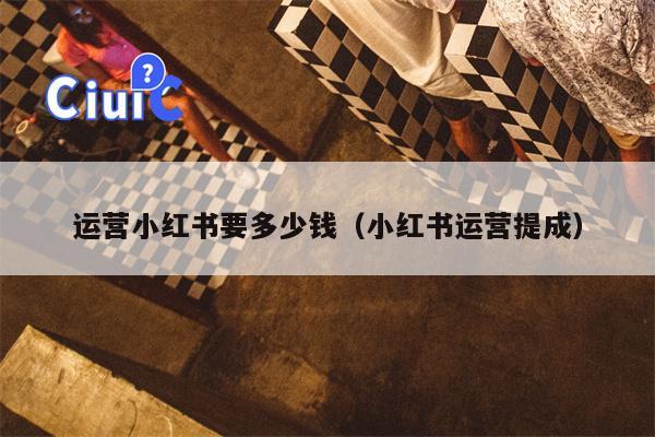 运营小红书要多少钱（小红书运营提成）