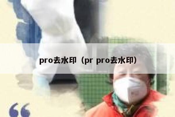 pro去水印（pr pro去水印）