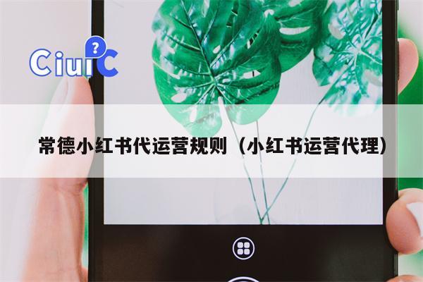常德小红书代运营规则(小红书运营代理)